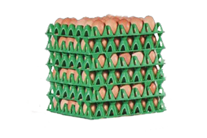 Brown Egg